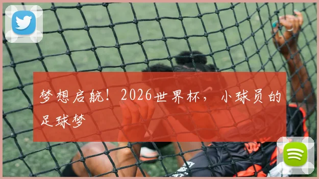 梦想启航！2026世界杯，小球员的足球梦